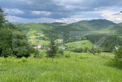 Teren de 20000 mp, în Central - 5