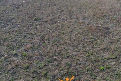 COMISION 0% - Teren intravilan 2091 mp, Mogosesti, Iasi - 1