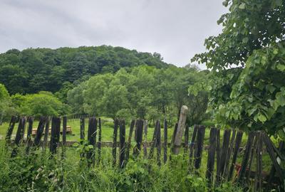 Teren agricol intravilan de 3837 mp, în Central - 4
