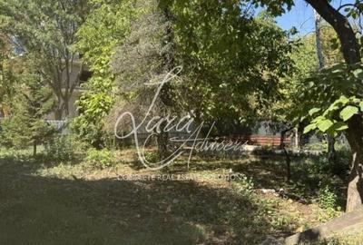 Vila versatila Iancu Nicolae - rezidenta, comercial sau clinica - 6