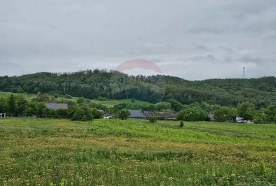 Teren Construcții intravilan de 1495 mp, în Dobreni - 4
