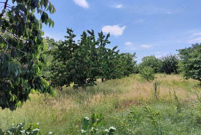 Casă cu 5 camere în Podgoria - 3