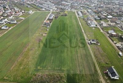 Teren de 300 mp, în Berceni - 7