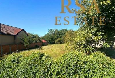 Spațiu comercial, în Goranu - 1