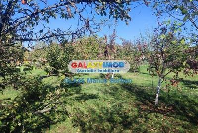 Vanzare casa Petresti Dambovita - 19