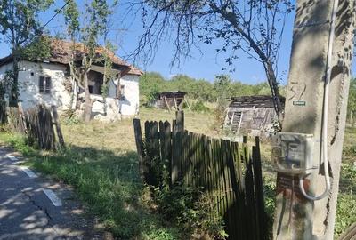 Vand casa craguesti 18 de Severin - 2