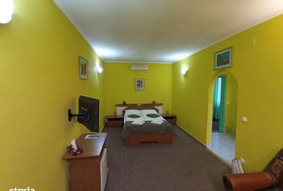 Spațiu comercial, de 540 mp, în Exterior Vest - 11