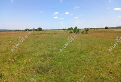 Teren intravilan 5000 mp pe Valea Avrigului, Sibiu - 3
