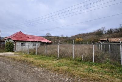 Film&3D! Proprietate cu potential:casa, atelier,domeniu de 2.700 mp:Sanmarghita, - 4