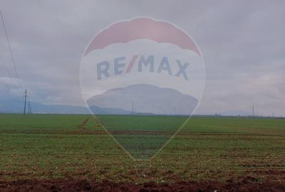 Comision 0 %! Teren extravilan, 21,175 mp Harman - 4