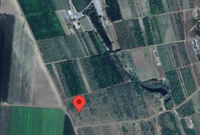 Teren de 1200 mp, în Costi - 1