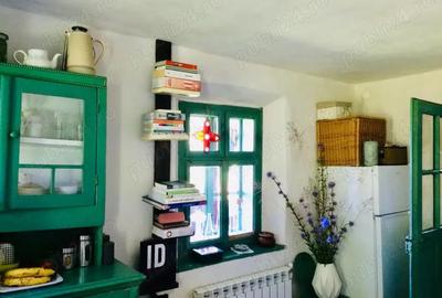 Investi?ie in natura > 2 case restaurate cu poten?ial de inchiriere si teren de 20.000 mp - 10