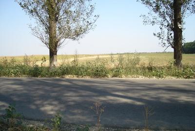 Teren Extravilan langa padure, Gruiu, Snagov - 2