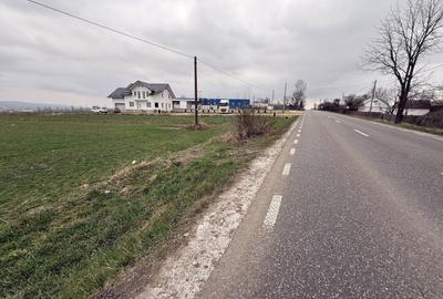 Teren Construcții intravilan de 3255 mp, în Grănicești - 6