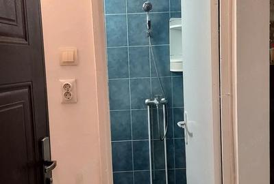 Garsonieră nedecomandată în Buziașului - 6