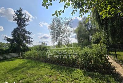 Casă cu 8 camere cu Teren 1140 Mp în Central - 3