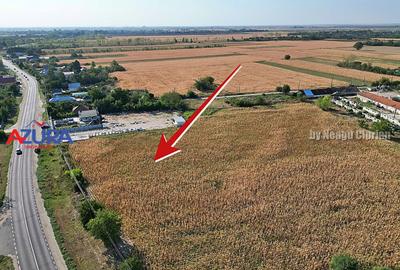 Teren Construcții intravilan de 7976 mp, în Crângurile - 5