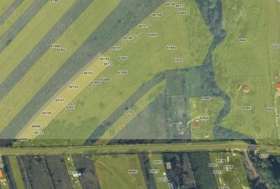 Teren de 7500 mp, în Poieni - 1