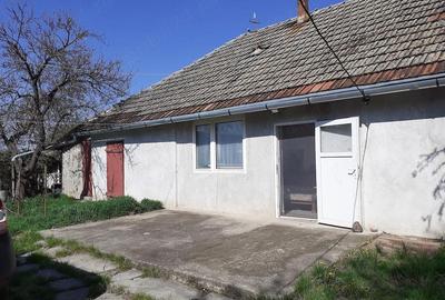 Casă cu 2 camere cu Teren 1200 Mp în Sintea Mare - 5