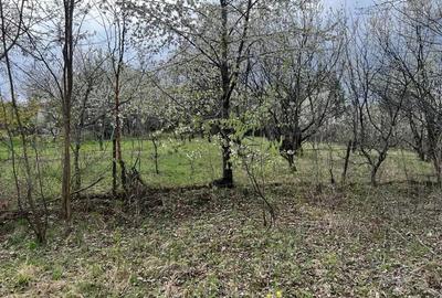 Breaza - str. Plaiului, teren 1400 mp - 6