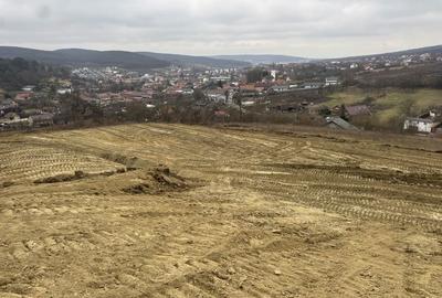 Teren de 1000 mp, în Livezeni - 8