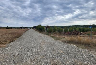 Teren intravilan de vânzare – Ghermănești, Snagov – Aproape de pădure - 6