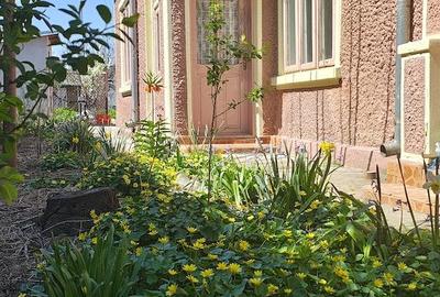 Casă cu 4 camere cu Teren 424 Mp în Chercea - 5