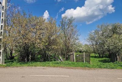 Teren de 3800 mp, în Moșteni - 2
