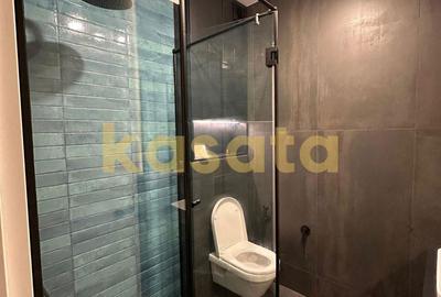 OPORTUNITATE | APARTAMENT 3 CAMERE LUX | BANU MANTA VICTORIEI |PARCARE OPORTUNITATE | APARTAMENT 3 CAMERE LUX | BANU MANTA VICTORIEI |PARCARE - 8