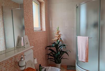 Casa 7 camere, 4 grupuri sanitare, curte si gradina Casa 7 camere, 4 grupuri sanitare, curte si gradina - 16