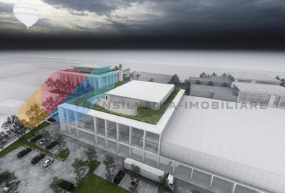 Teren Construcții intravilan de 17000 mp, în Someșeni - 3