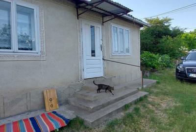 Casă cu 3 camere în Mitoc - 8