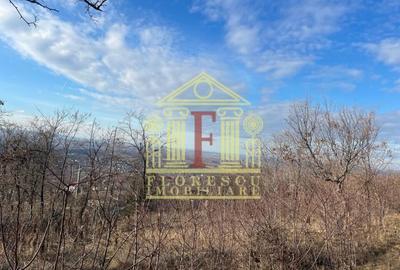 Teren Barnova  ! - 2