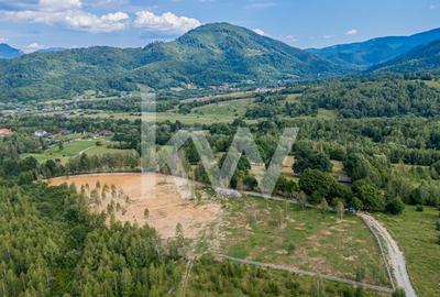 COMISION 0 %!!!!Teren cu priveliste remarcabila asupra orasului Rasnov - 7