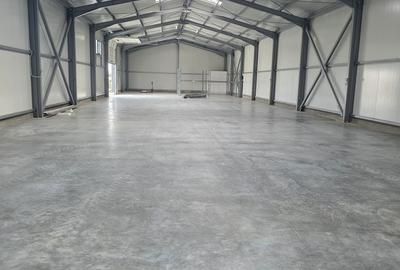 Spațiu comercial, de 600 mp, în Brazi - 13