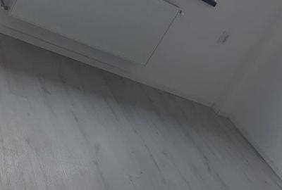 Garsonieră nedecomandată în Vișan - 7
