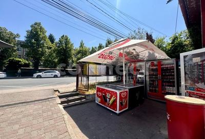 Spatiu comercial de vanzare in cartierul Grigorescu - 3