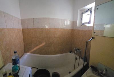 Teiul Doamnei - Parcul Tei Teiul Doamnei - Parcul Tei - 6