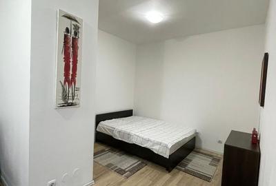 Garsonieră semidecomandată, mobilată în Valea Ialomiței - 3