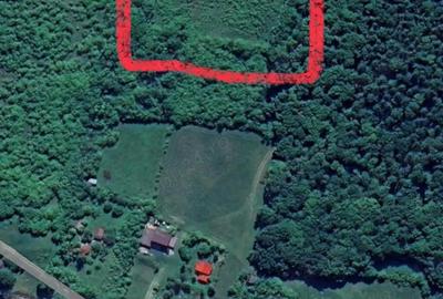 Teren de 5400 mp, în Sântejude - 1
