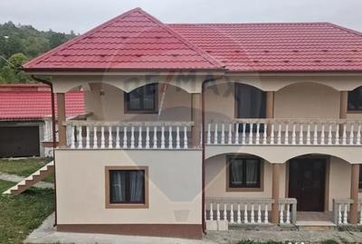 Casă cu 6 camere cu Teren 3141 Mp în Ploștina - 12