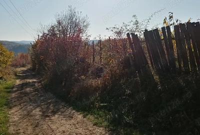 Casă cu 2 camere în Central - 6