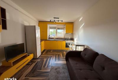 Apartament cu 2 camere, mobilat în Tătărași - 5