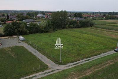 Teren Catalina 15 Ari - 3