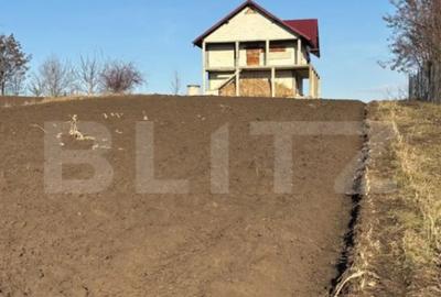 Casă cu 3 camere cu Teren 5000 Mp în Central - 3