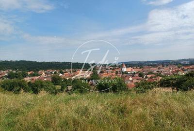 Teren intravilan de vanzare in Saliste - 4