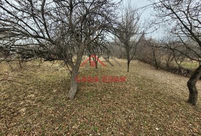 Casă cu Teren 1358 Mp în Gura Beliei - 2