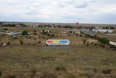 Teren 3000 m.p. Penny Mihailesti - 7