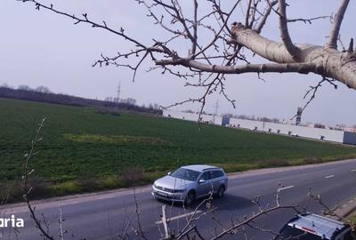 Teren de 5000 mp, în Central - 14