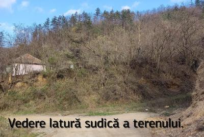 Proprietar vând teren intravilan 1491 mp Băile Herculane (Pecinișca-Păstrăvărie) - 12